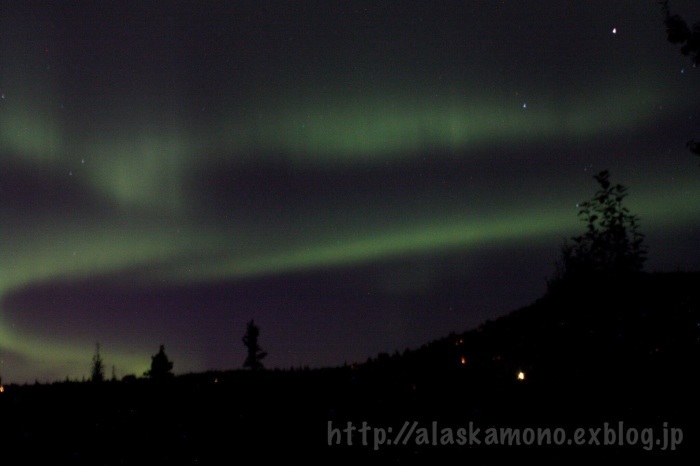 アラスカツアー最終日 ブルーベリーとオーロラ_a0088116_04223721.jpg