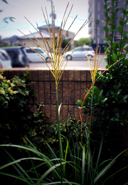 a0329820_09303687.jpg