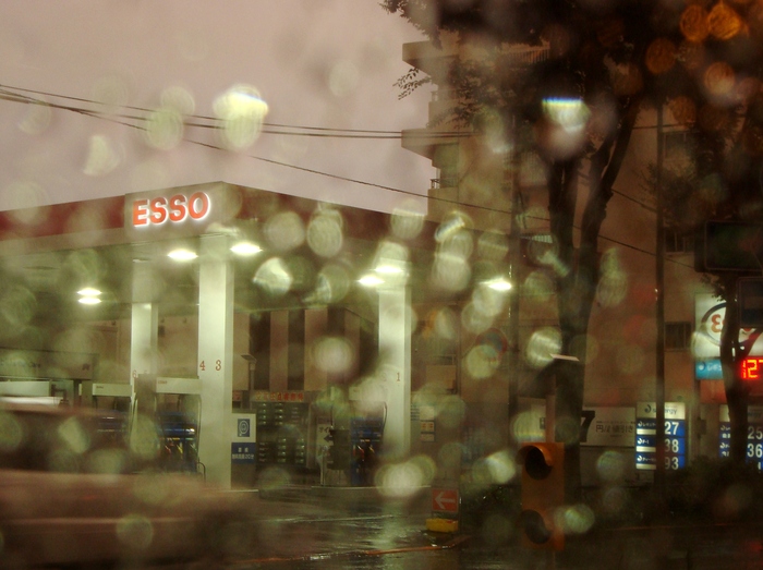 秋雨・台風・眠り猫　2015/9/10   in Tokyo_d0129921_8312435.jpg