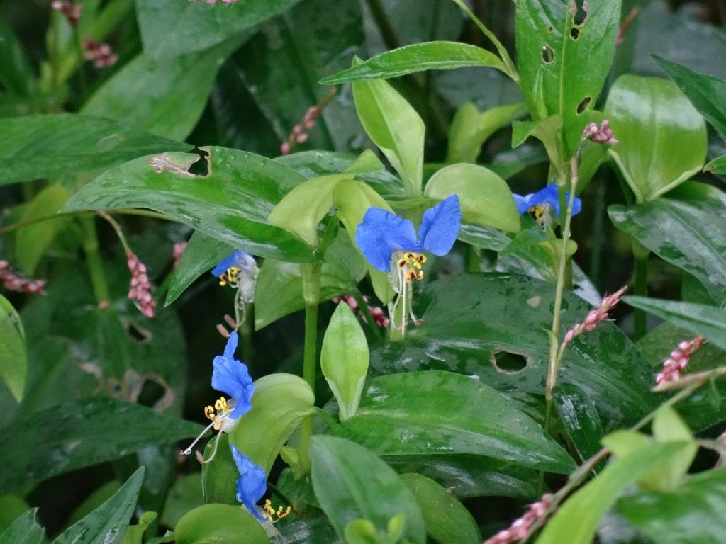 f0088231_15443792.jpg