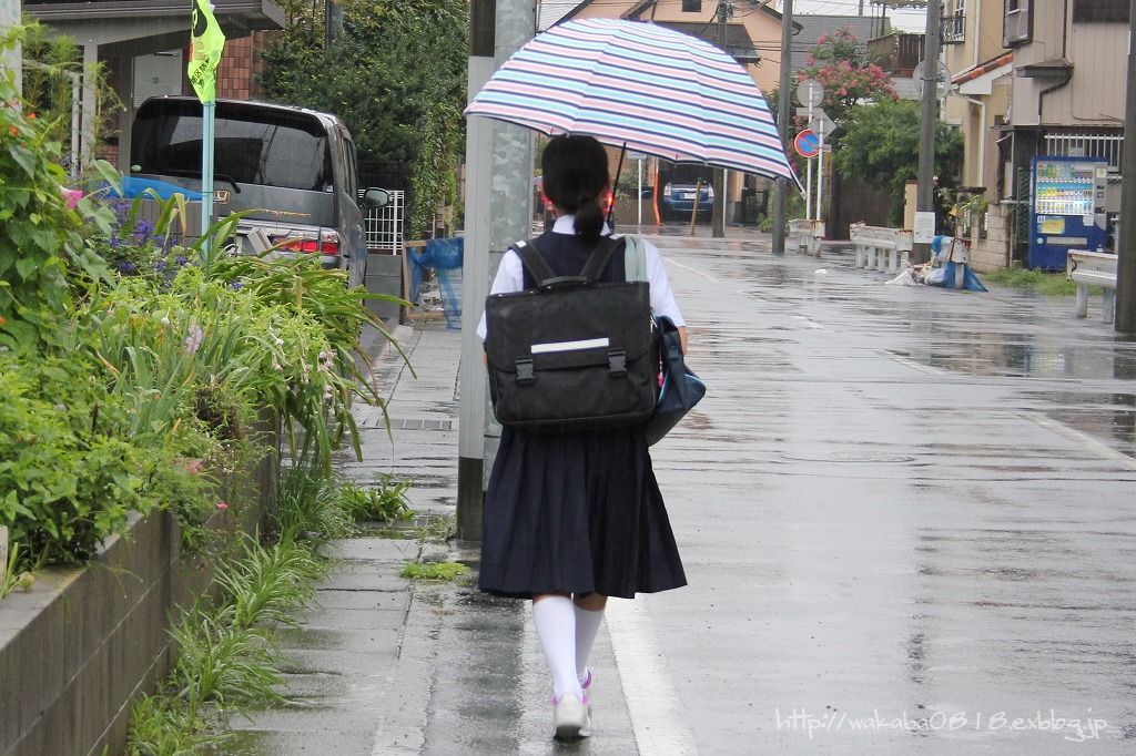 関東に大雨特別警報が出ました(>_<)_e0052135_2126238.jpg