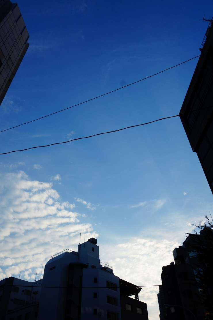 a0287336_14294792.jpg