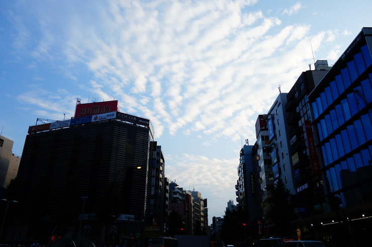 a0287336_14301694.jpg
