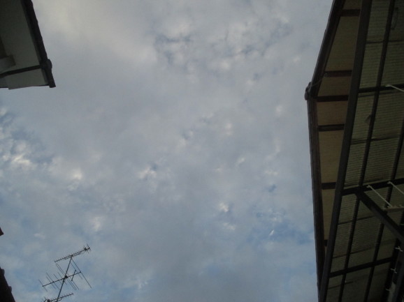 a0307846_09133269.jpg