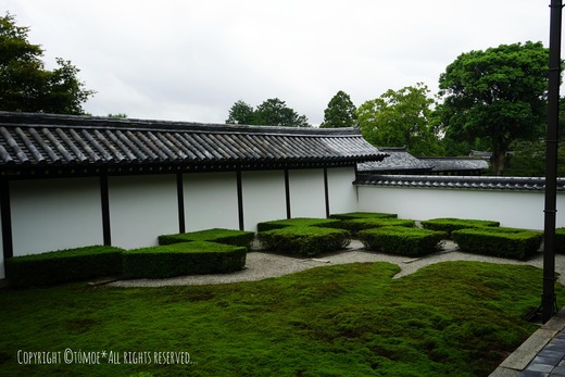 東福寺_f0256256_19552577.jpg