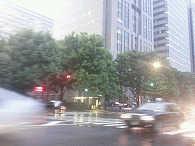 先走り法案_f0053757_2581072.jpg