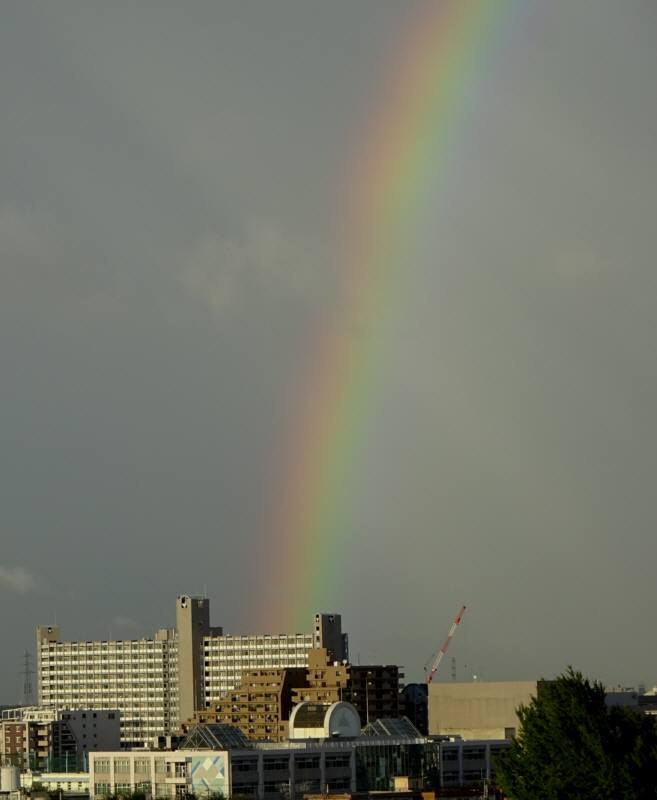 f0059673_00234230.jpg
