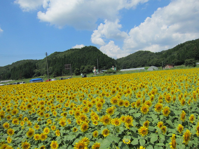 f0200477_21575156.jpg
