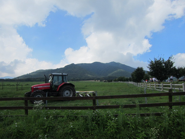 f0200477_22193445.jpg