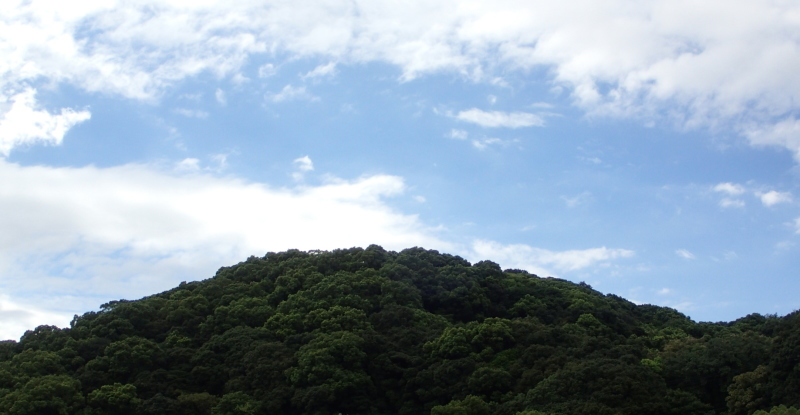 e0024081_15534967.jpg