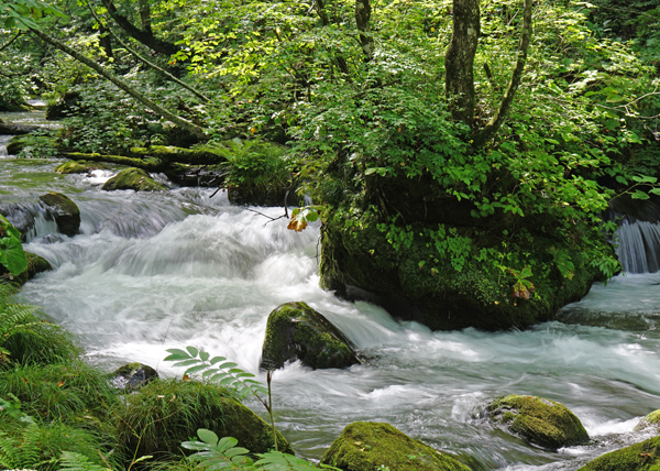 e0156083_9303191.jpg
