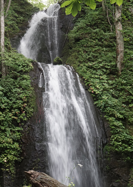 e0156083_9371978.jpg