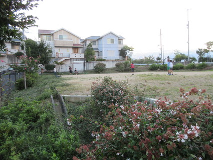 f0053885_19291218.jpg