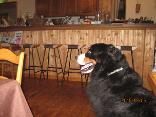 c0123692_22532642.png