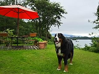 c0123692_2259756.png