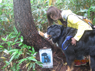 c0123692_23191187.png