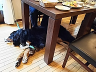 c0123692_2328961.png