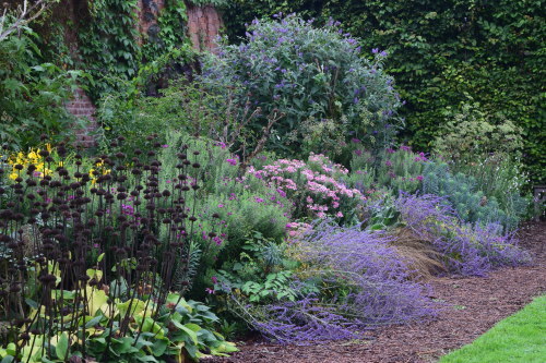 美しいボーダーガーデンに囲まれた色鮮やかな菜園 オスタリーハウス ガーデン 薔薇好き花好き庭が好き 元英国在住 アートセラピストが造る癒しの庭