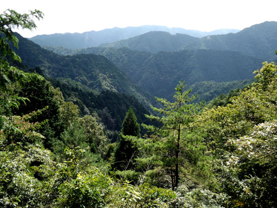 北山の渓_e0048413_19492813.jpg
