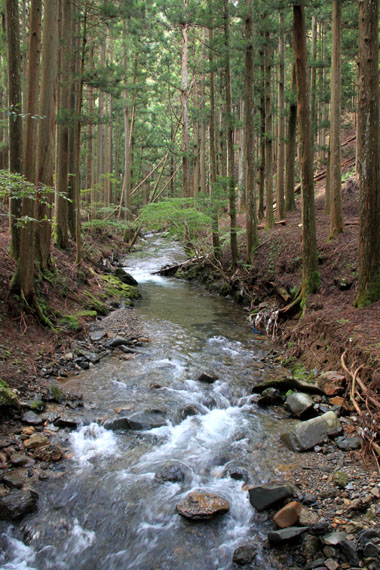 北山の渓_e0048413_19494158.jpg