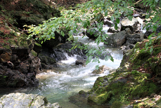 北山の渓_e0048413_1950547.jpg