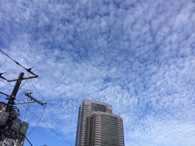 久しぶりに見る青空_f0101615_9202591.jpg