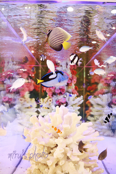 c0037519_23442773.jpg