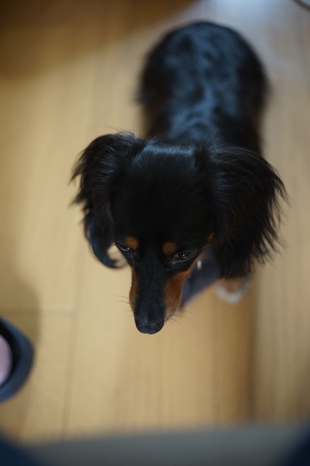 b0069128_11231210.jpg