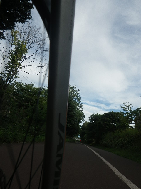 e0026331_87178.jpg