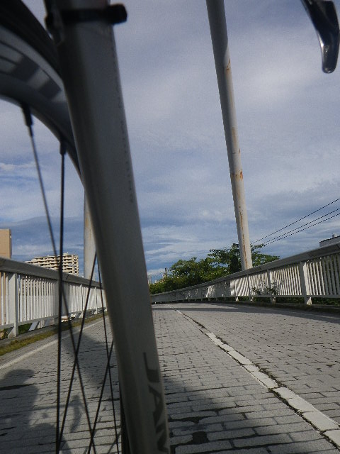 e0026331_872090.jpg