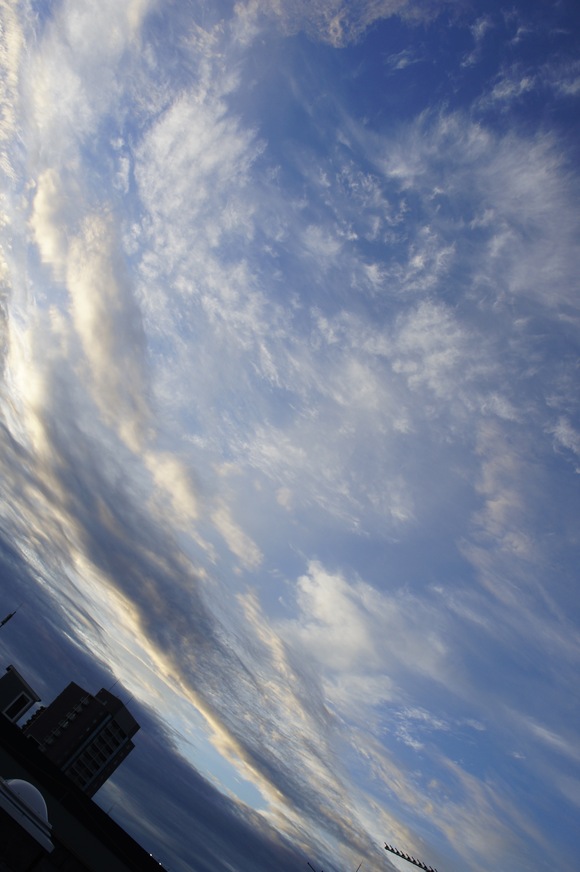e0052534_208312.jpg