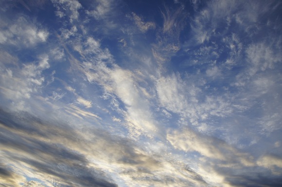 e0052534_2084649.jpg