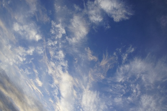 e0052534_209160.jpg
