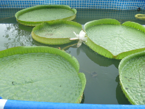 b0246036_11134230.jpg