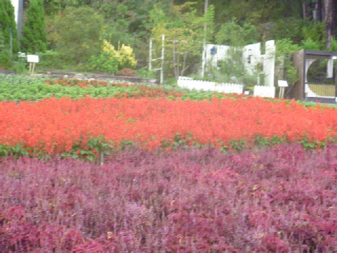 b0246036_112558.jpg