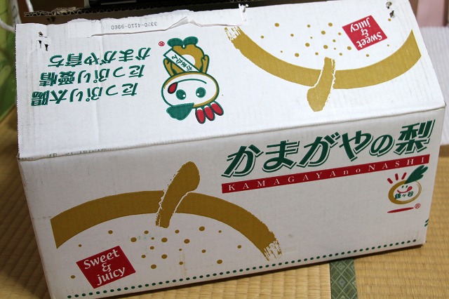 a0242438_20121589.jpg
