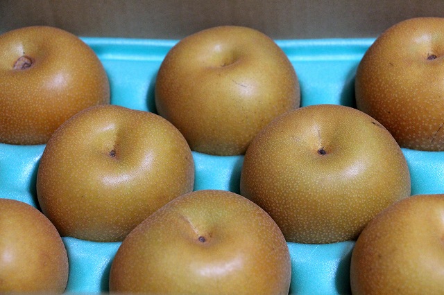 a0242438_20122447.jpg