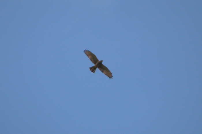 c0269342_19093632.jpg