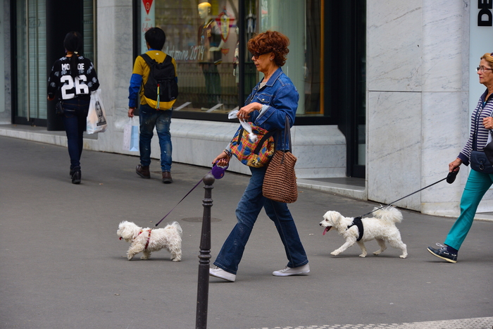 「Le Meurice」＠Paris-2014 Summer Vacation-12_f0189142_16501349.jpg