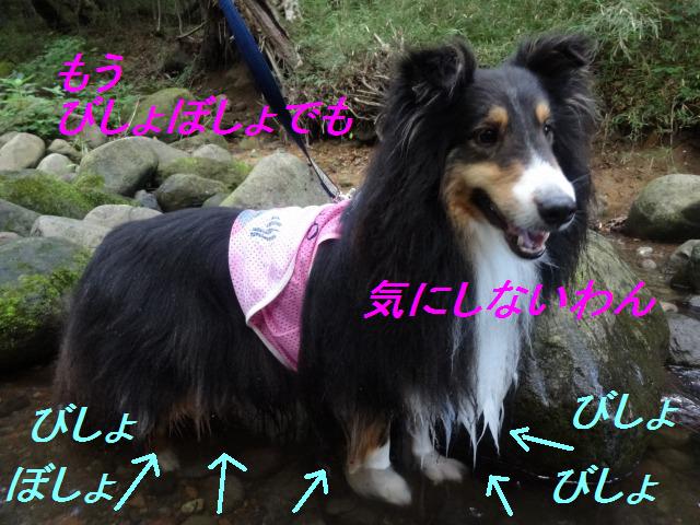 那須旅行☆つながれた犬たち・4度目の冬_e0195743_15323877.jpg