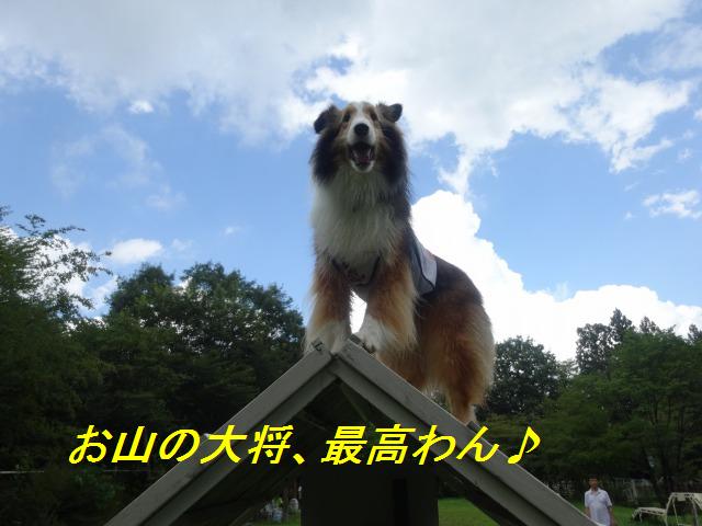 那須旅行☆つながれた犬たち・4度目の冬_e0195743_153259100.jpg