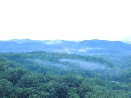 北軽井沢に秋が訪れていました_c0341450_23553549.jpg