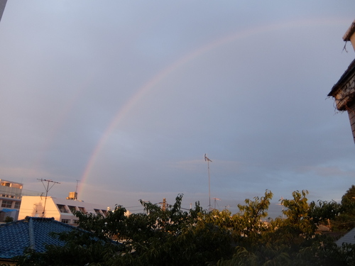 大雨終了の虹_f0055956_8352848.jpg