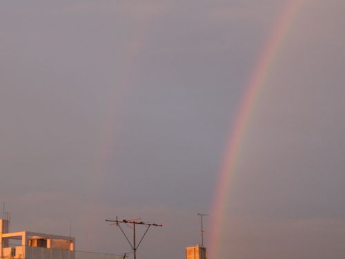 大雨終了の虹_f0055956_8353933.jpg