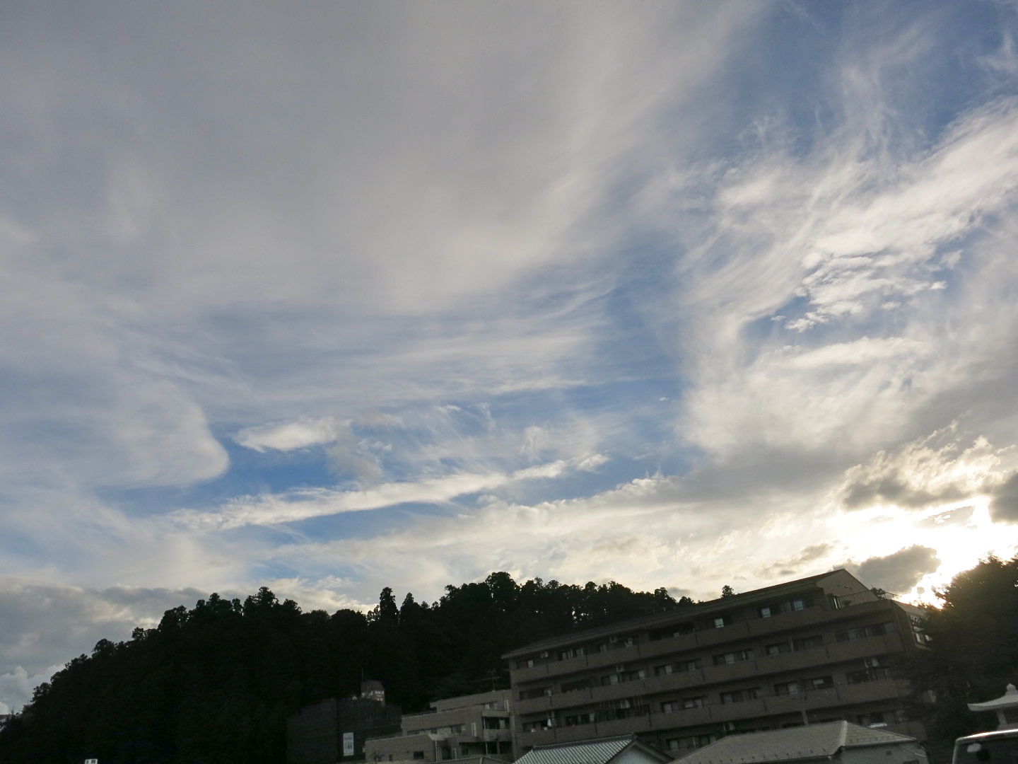 特別大雨警報後の爪痕_c0260460_17495187.jpg