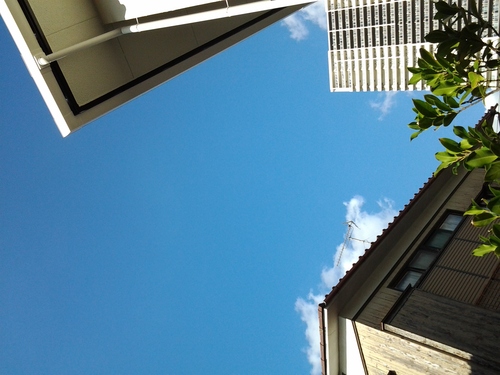 c0223968_15554940.jpg