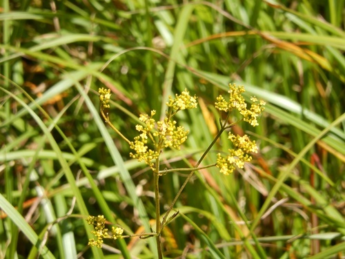 e0345868_23115978.jpg