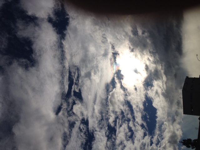 f0193680_21434089.jpg
