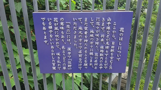 e0020682_15252953.jpg