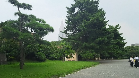 e0020682_15301298.jpg